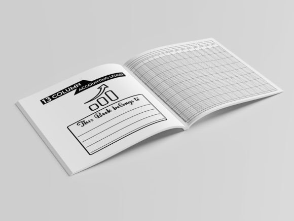 The Practical World of 13 Column Accounting Ledger Books